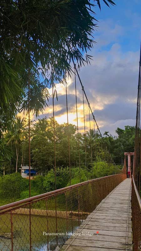 Panamaram Hanging Bridge - Image 1