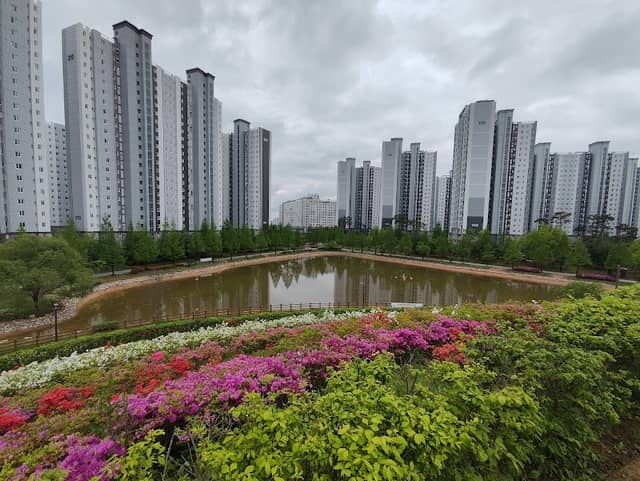 두물머리공원 - Image 1