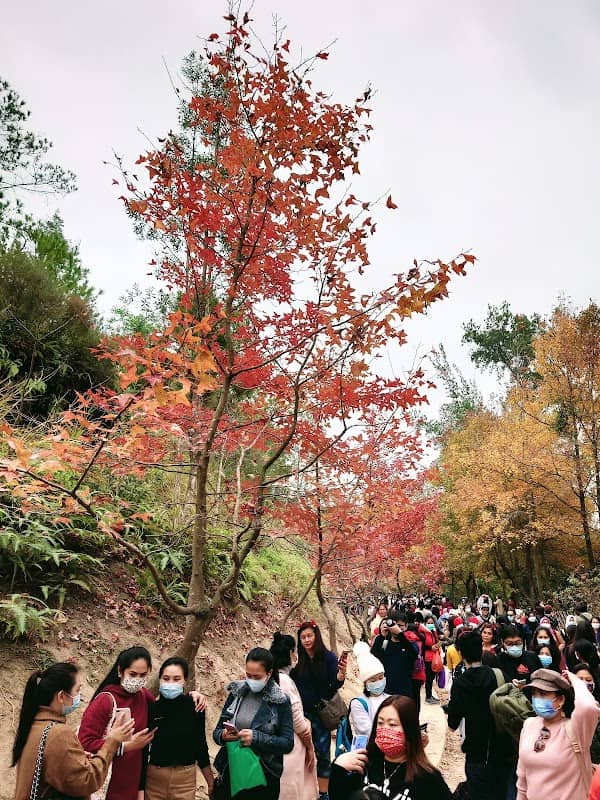 Tai Lam Country Park (Tai Tong) - Image 1