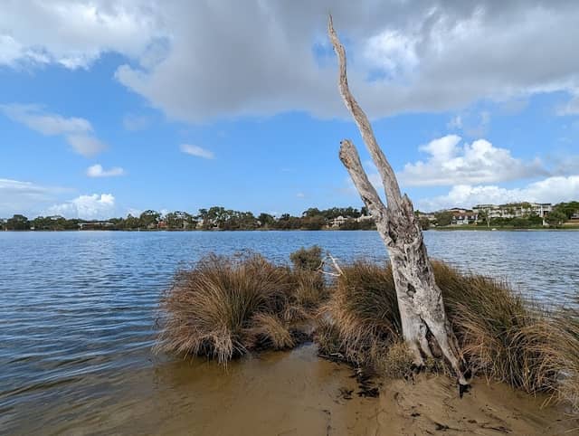 Salter Point Lagoon - Image 2
