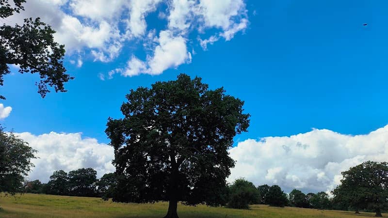 Round hill - Image 1