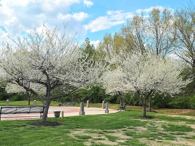Veterans Memorial Park - Image 1