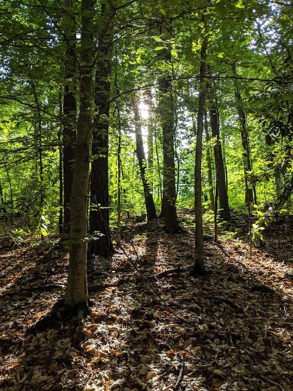 Sykes Park - Image 1