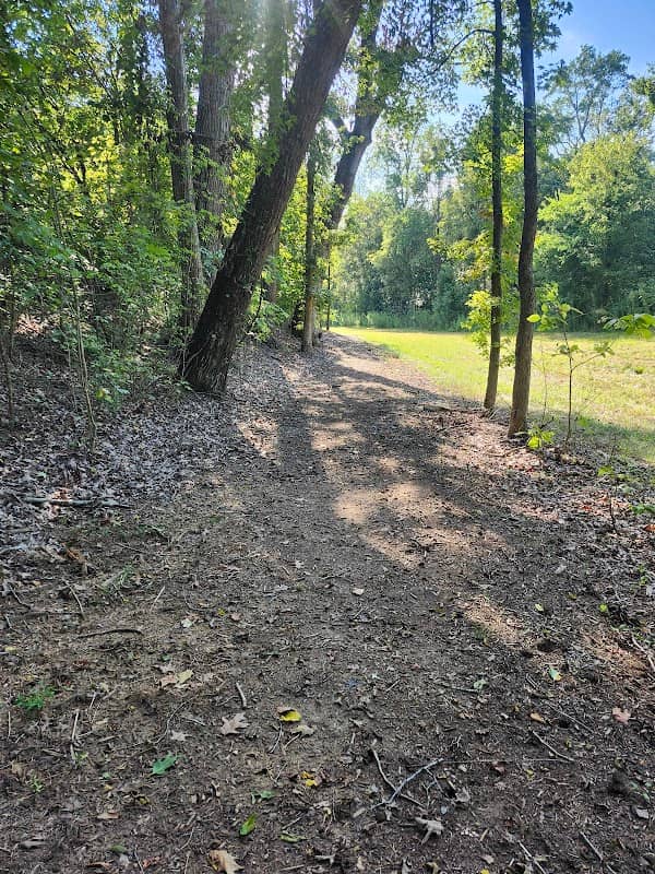 Walking Trail - Image 2
