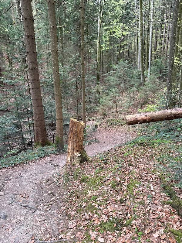 Chresbrunnen - Image 1