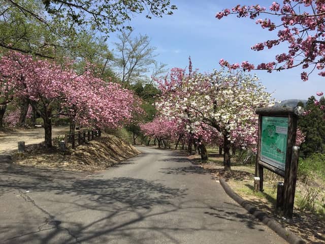 Kannonyama Park - Image 1