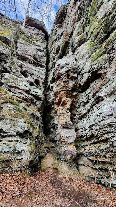 Trillium Trail - Image 1