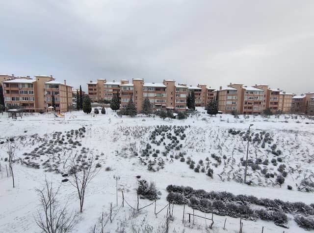 Yeşil Alan - Image 1