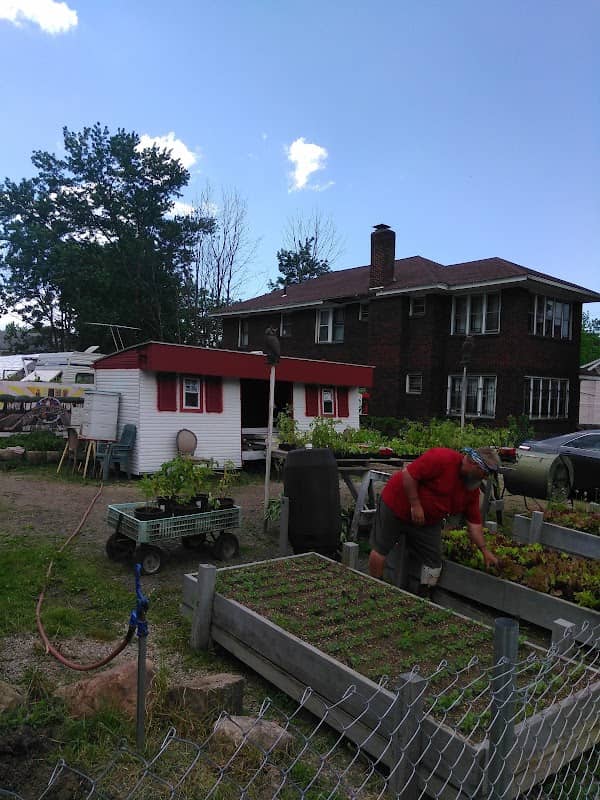 YOUNGSTOWN INNER CITY GARDENS - Image 1