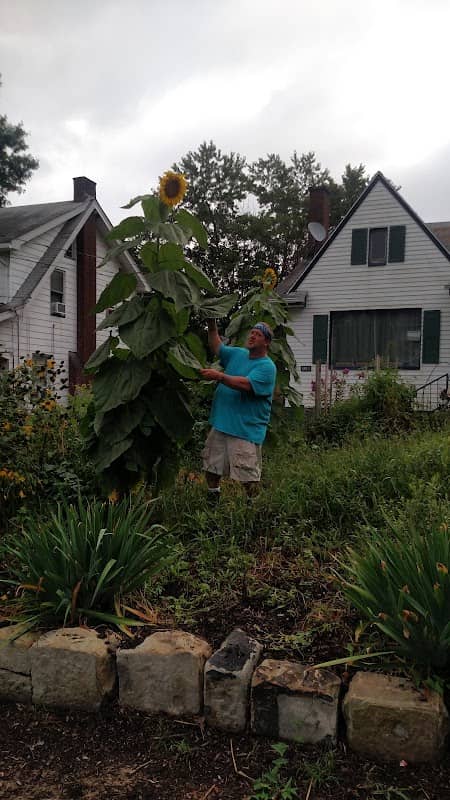 YOUNGSTOWN INNER CITY GARDENS - Image 2