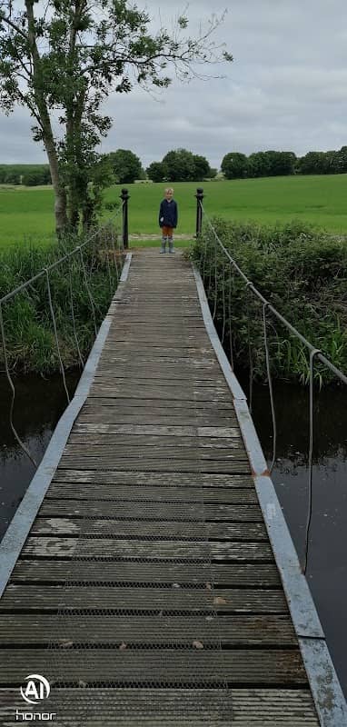Swinging bridge - Image 1