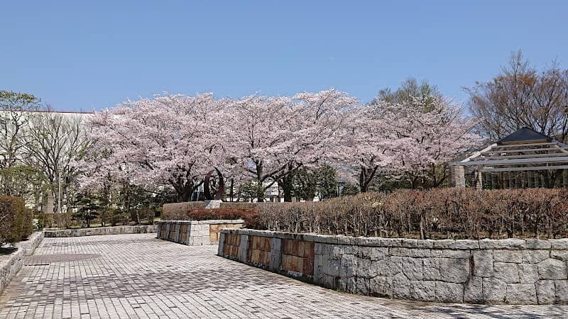 Fureainomori Park - Image 1