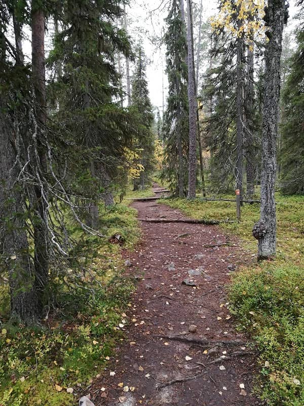 Varkaankuru Ravine - Image 1