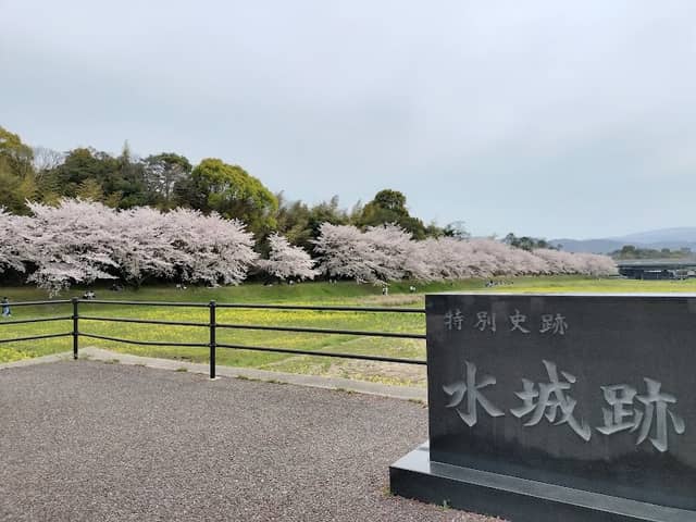 水城跡の桜並木 - Image 1