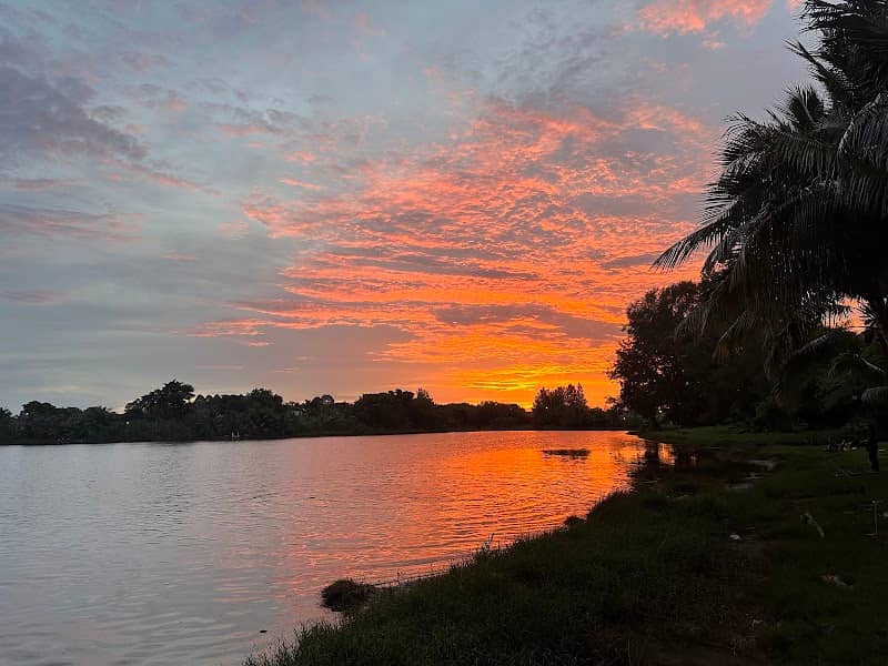 Tasik Beringin - Image 1