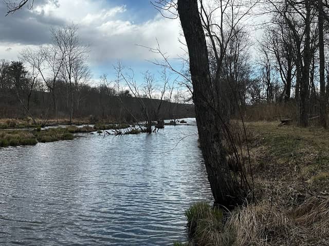 D&H Linear Park - Image 1