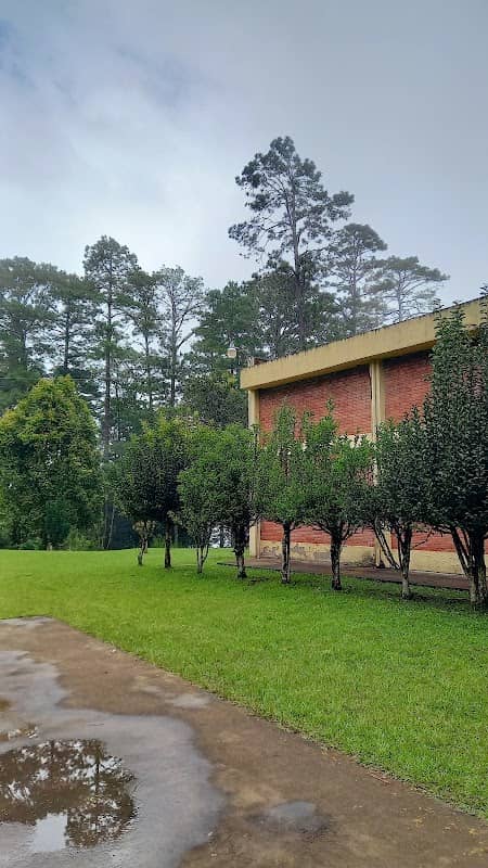 El Piliguin SITRAUNAH Park - Image 1