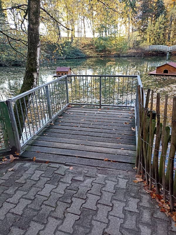 The stork and pelican pond - Image 1