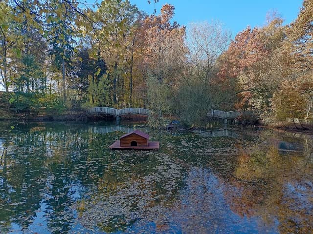 The stork and pelican pond - Image 2
