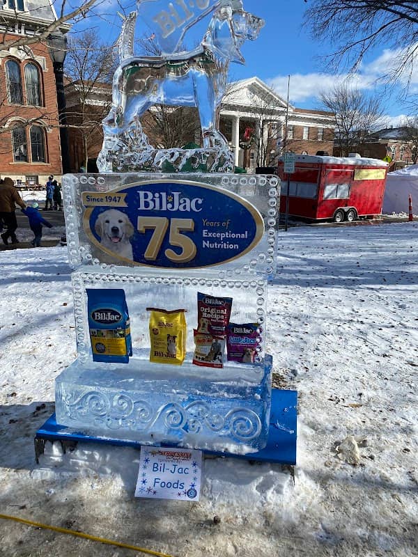 Medina Ice Festival - Image 1