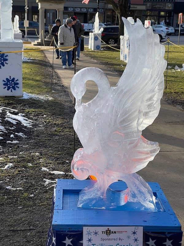 Medina Ice Festival - Image 3