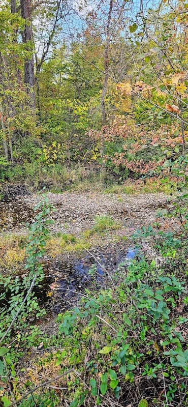 Bike Path - Image 1