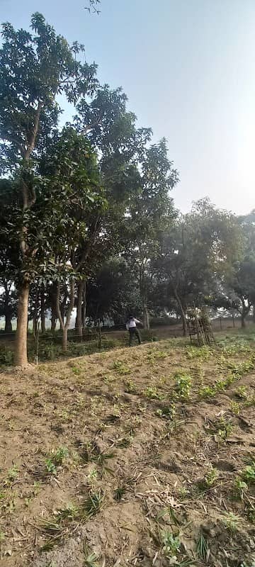 Ankush park - Image 1
