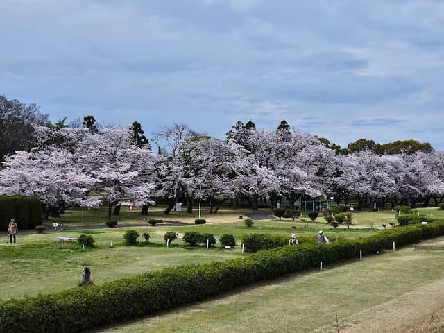 Sonan Park - Image 2