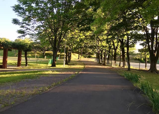 Sonan Park - Image 1