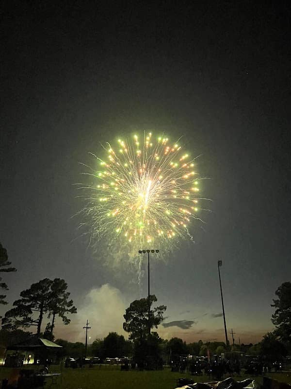 NWS Softball Fields - Image 1