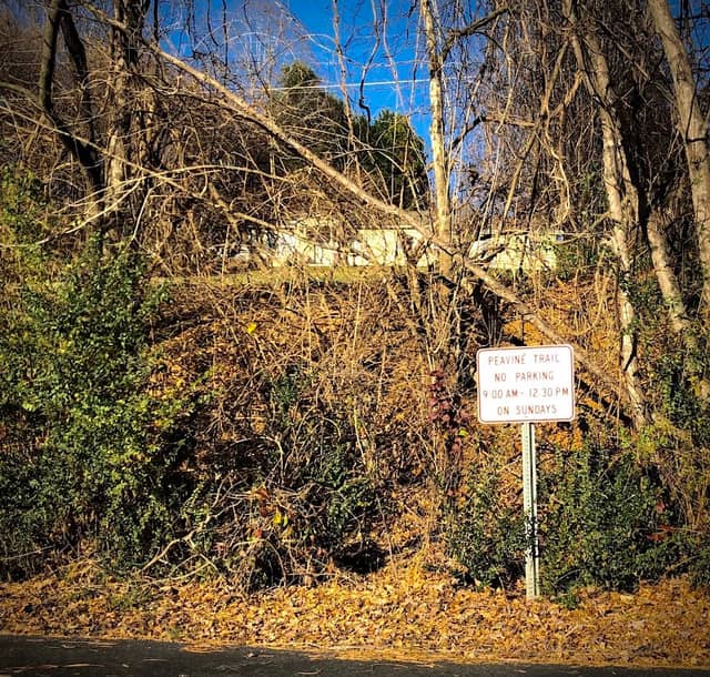 Peavine Trail - Image 3