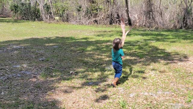 40 Acre Park - Image 2