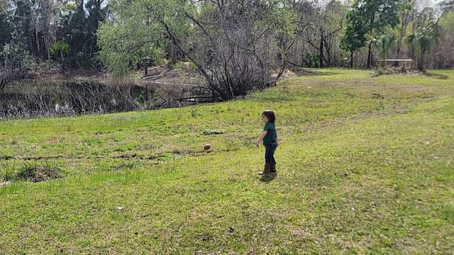40 Acre Park - Image 1