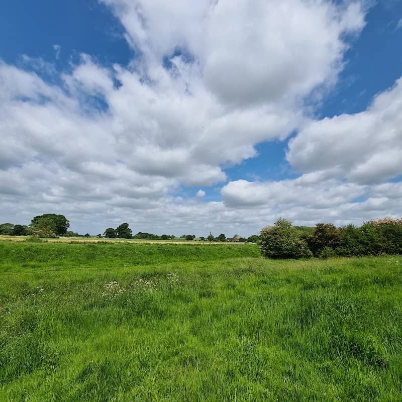 Sibsey Wood - Image 1
