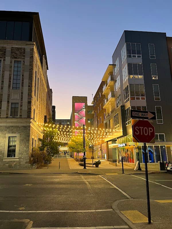 ArtsWalk - Image 3