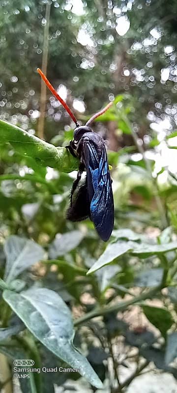 Nature Conservation and Ecotourism Shyamnagar - Image 1