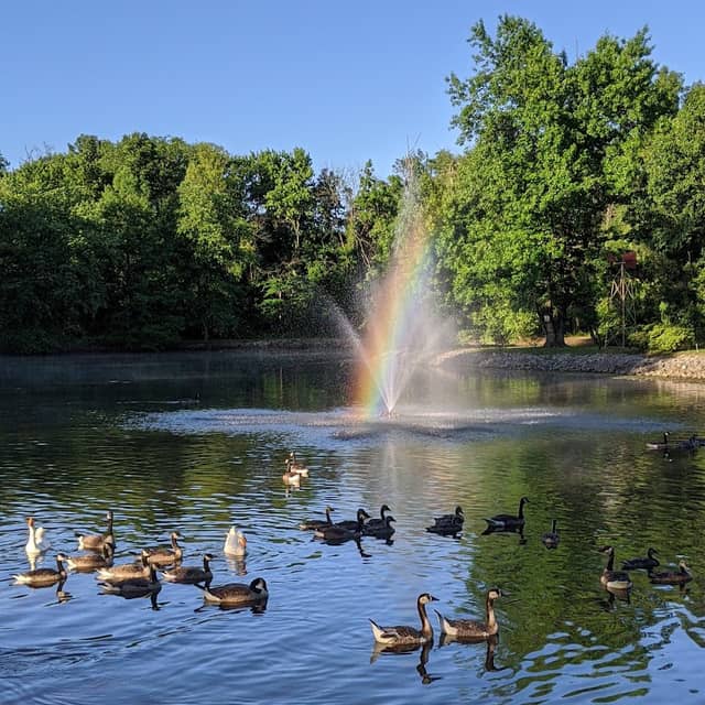 Frankfort Community Park - Image 1