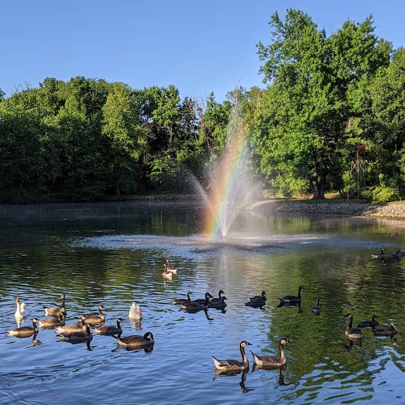 Frankfort Community Park - Image 1