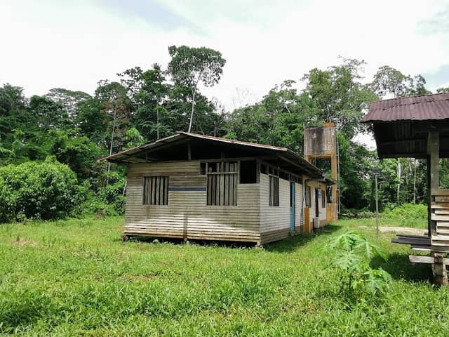Tsopis - Image 2