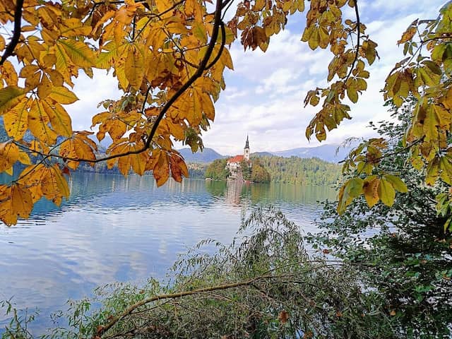 Bled Tourist Train Spot - Image 2
