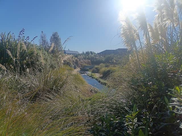 Vernon Dr Greenspace - Image 2