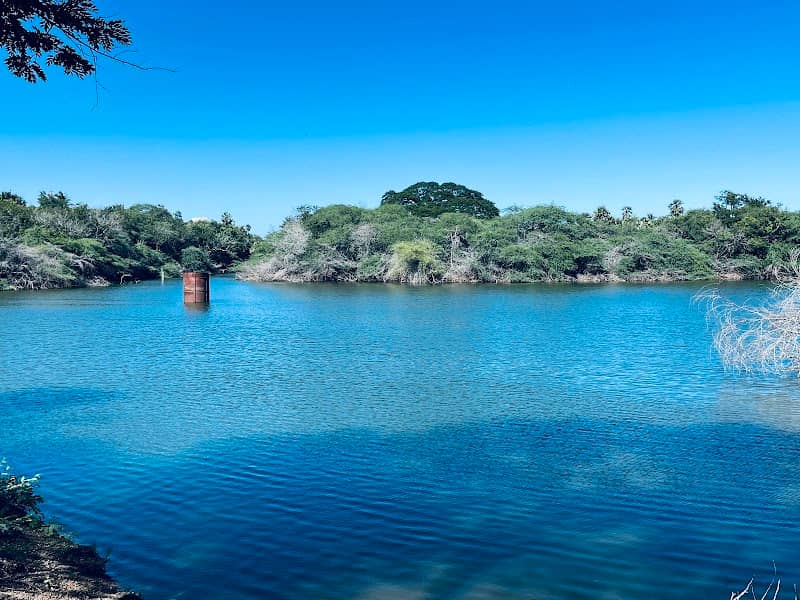 IITM Lake - Swamp Dam - Image 1