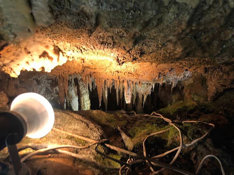 Ōtaki Limestone Cave - Image 2