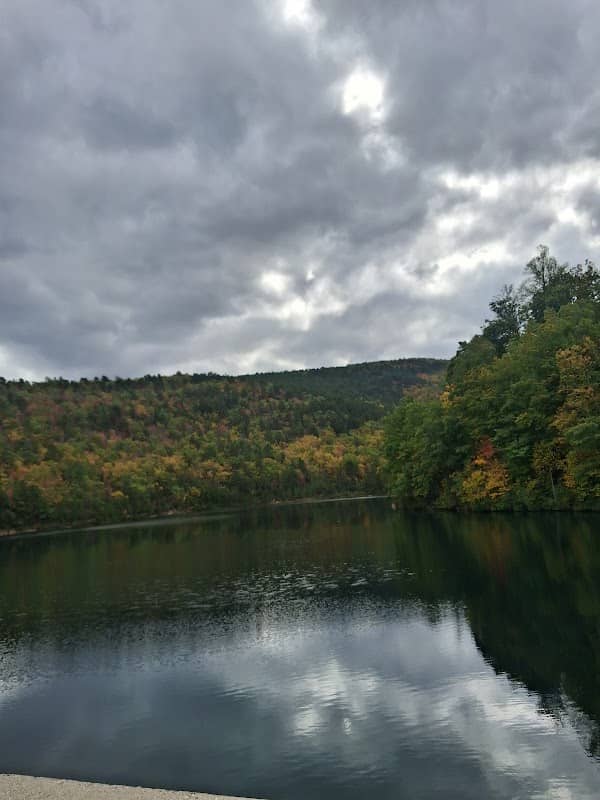 Coles Run Reservoir - Image 1