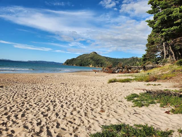 Kuaotunu Beach - Image 1