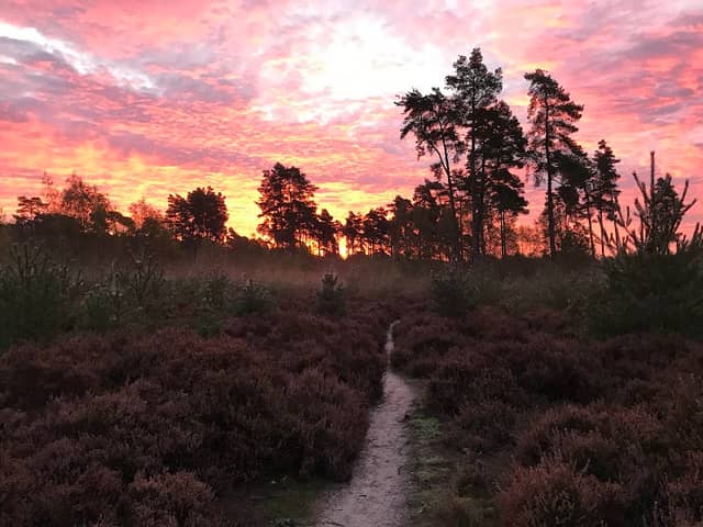 Parking layby for RSPB Farnham Heath - Image 2