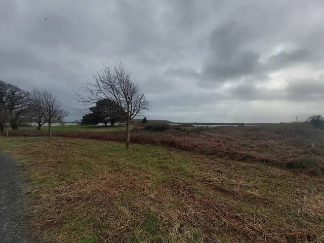 The Small Wood Reserve - Image 2