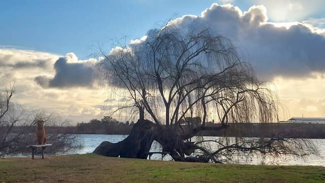 Riverglades - Image 1