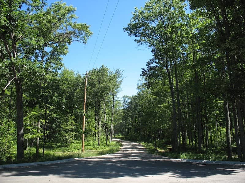Ogemaw County High Point - Image 1