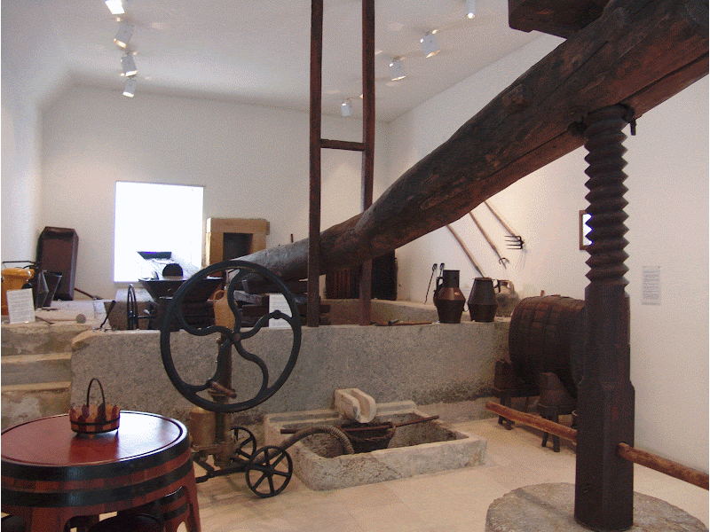 Núcleo Museológico do Vinho - Image 1